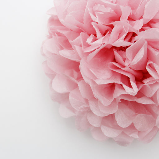 Tissue Paper Pom Pom - Cotton Candy