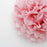 Tissue Paper Pom Pom - Cotton Candy