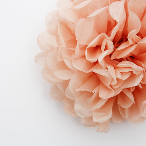 Tissue Paper Pom Pom - Peach