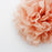 Tissue Paper Pom Pom - Peach